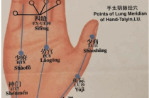 【穴位按摩】指掌间轻松实现健康养生